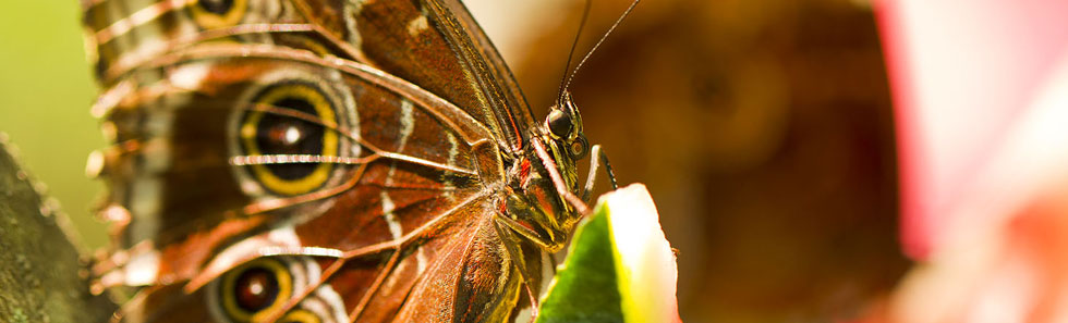 出色的ddos在线攻击测试网站